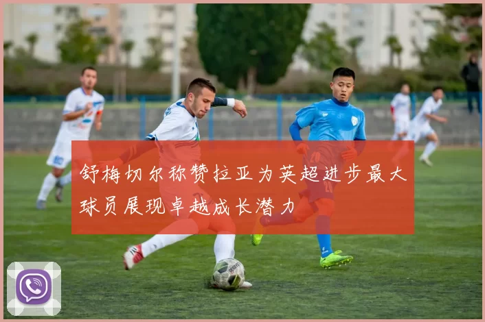 舒梅切尔称赞拉亚为英超进步最大球员展现卓越成长潜力